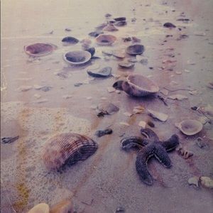 Meet your Posher, Helin